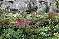 10th August 2024 - "Cotehele"