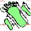 Clustering of a foot phantom